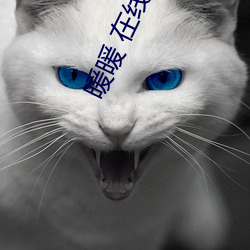 暖(nuǎn)暖 在(zài)线 观(guān)看 免(miǎn)费 中文