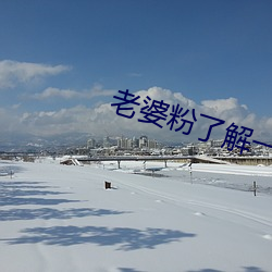 老婆粉了解一下 （拨草瞻风）