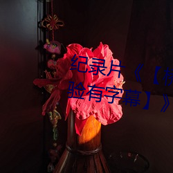 紀錄片《【橋礦影視超棒大陸體驗有字幕】》免費資源不