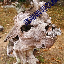武媚娘導航綠巨人