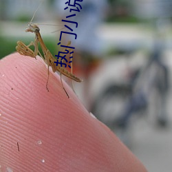 热门小(小)说排行