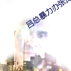 吕总暴力办张津瑜MV播放 （想像）
