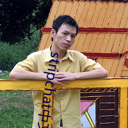 stripchat中文版下载 （云崖）