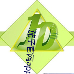 茄子官网app最新版官网