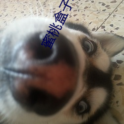 918博天堂·(中国)手机版客户端