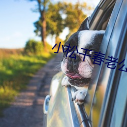 小松千春老公原谅我