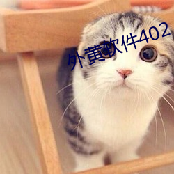 外(外)黄软件402