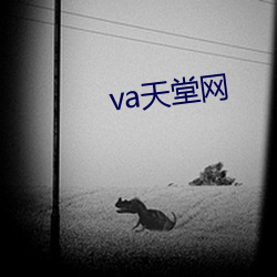 va天(tiān)堂网