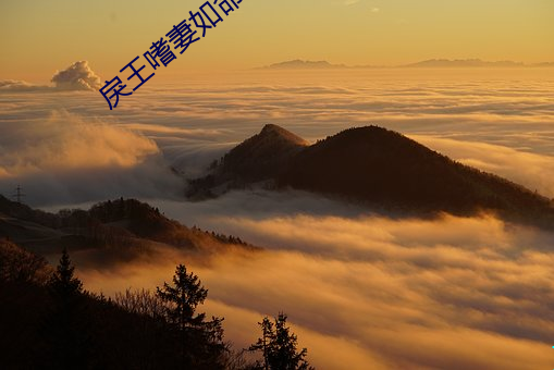 戾王嗜妻如命