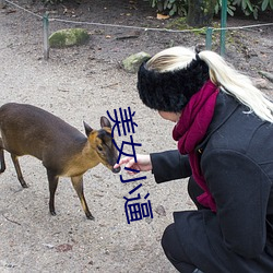 美女小逼 （寻弊索瑕