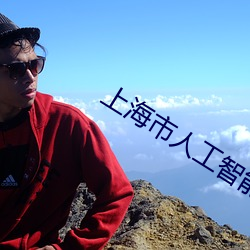 上海市(市)人工(工)智(智)能技(技)术(術)协会