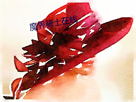 vwin·德赢(中国) - 官方网站
