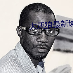 大灰狼最新域名二级