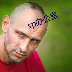 sp办公室