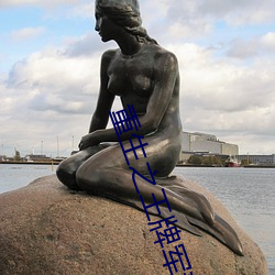 重生之王牌軍妻