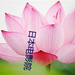 金年会(中国)官方网站