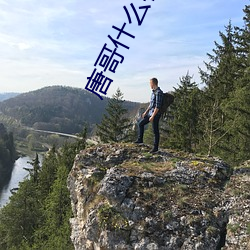 唐哥什(shén)么梗