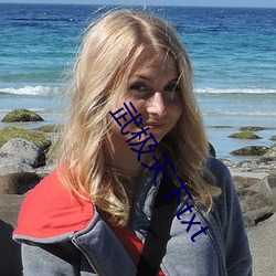 武极天(tiān)下(xià)txt