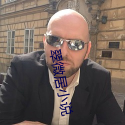 翠微居小說