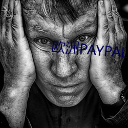 ŷPAYPAL mʴ