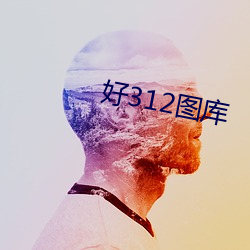好312图库(kù)