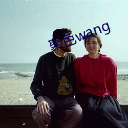 聚色wang （达观）