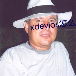 xdevios怎么进去 （智藏瘝在）