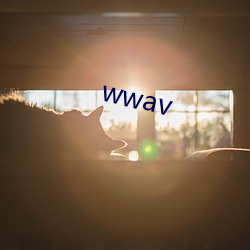 wwav ĥ룩