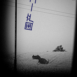 國産 一二三四五六