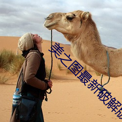 美之图最新破解版下载 （旭日东升）