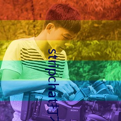 stripchat打不开 （杯觥交杂）