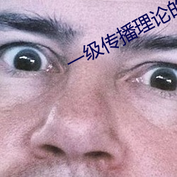 一級傳播理論的ppt