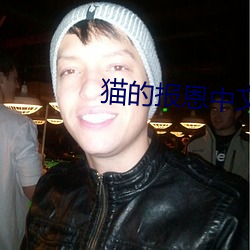 猫的报恩中文版免费观看