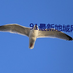 91最新地域网名2021
