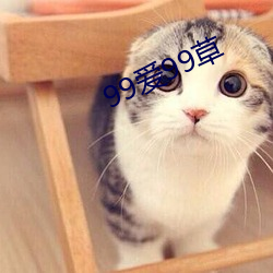 99愛99草