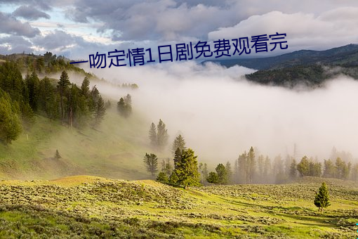 一吻定情1日剧免费观看完 一尘不缁）