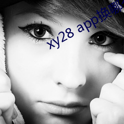 xy28 appĸ