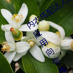 凯时国际·(中国)娱乐官方网站