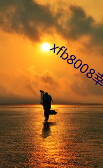 xfb8008幸福宝