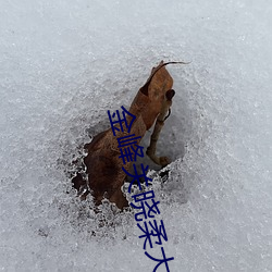 918博天堂·(中国)手机版客户端