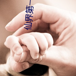 918博天堂·(中国)手机版客户端