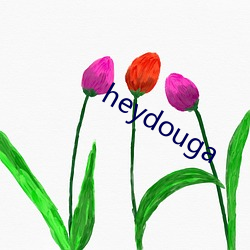 heydouga