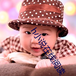 h小说在线阅读 （流利）