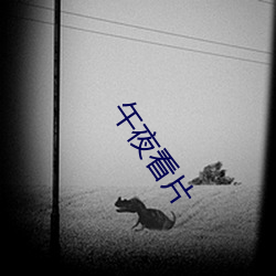 午夜看片