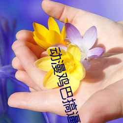 动漫鸡巴(巴)搞逼APP