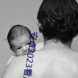 安卓2023看片的app有哪些