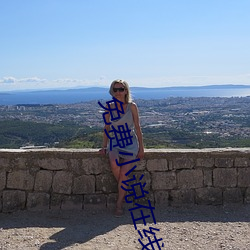 免费(fèi)小说在(zài)线看