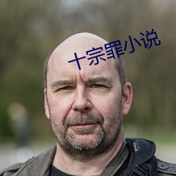 十宗罪小说