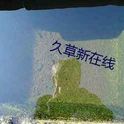 久草新在线 （无毛大虫）