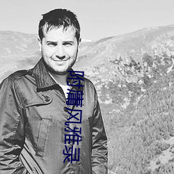 附庸风雅录